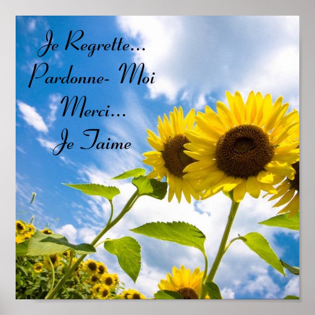 Affiche Je Regrette...Pardonne- Moi, Je Taime (Devant)