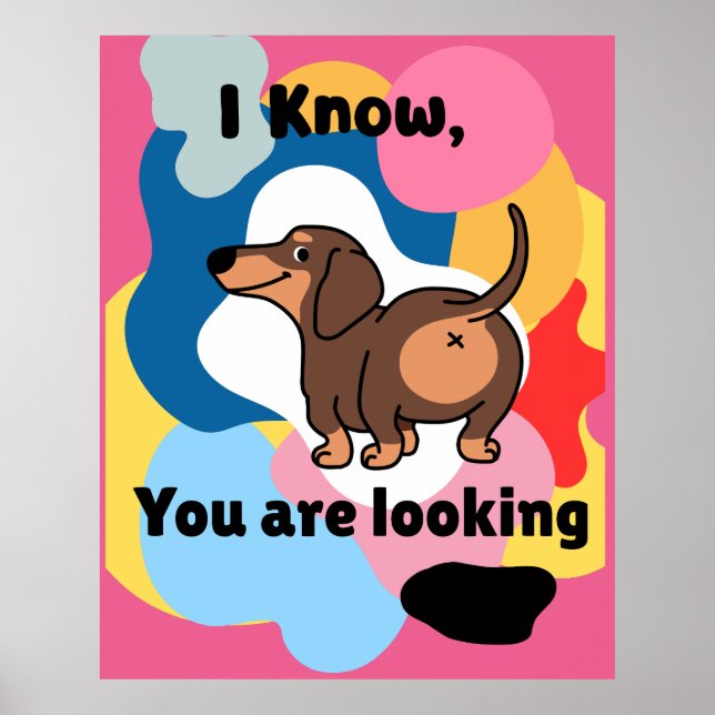 Affiche Je Sais Que Vous Cherchez (Devant)