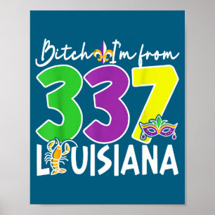 Affiche Je suis 337 louisiane mardi gras carnaval de la no