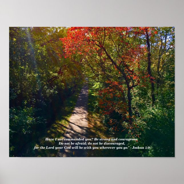 AFFICHE JE SUIS AVEC VOUS (Devant)