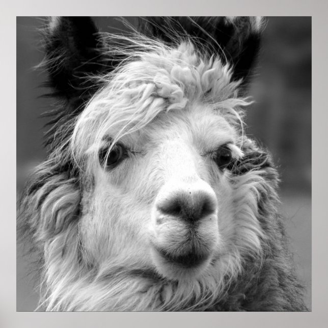 Affiche Je suis belle (Devant)