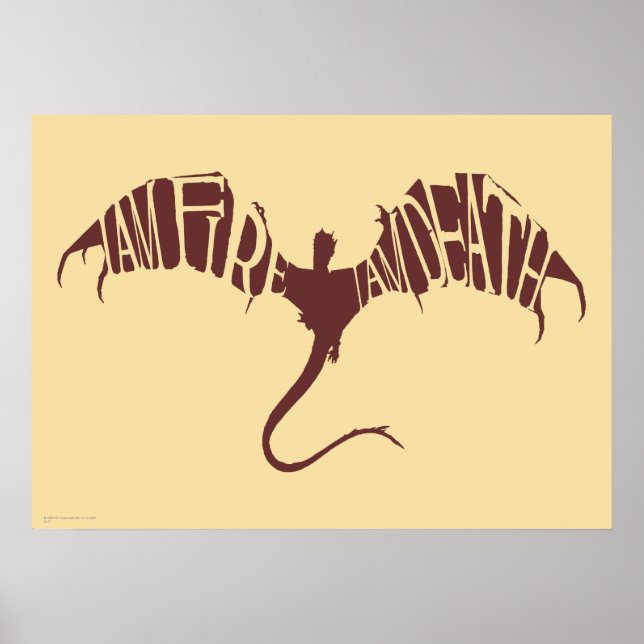 Affiche Je Suis Feu Je Suis Mort - Graphique (Devant)