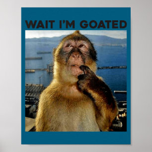 Affiche Je suis Wait Goated Singe Pensant Meme