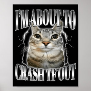 Affiche Je vais bientôt m'écraser Drôle de chat qui fixe B