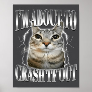 Affiche Je vais m'écraser Drôle de chat qui fixe Brainrot