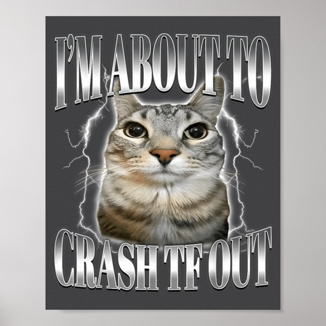 Affiche Je vais m'écraser Drôle de chat qui fixe Brainrot  (Devant)