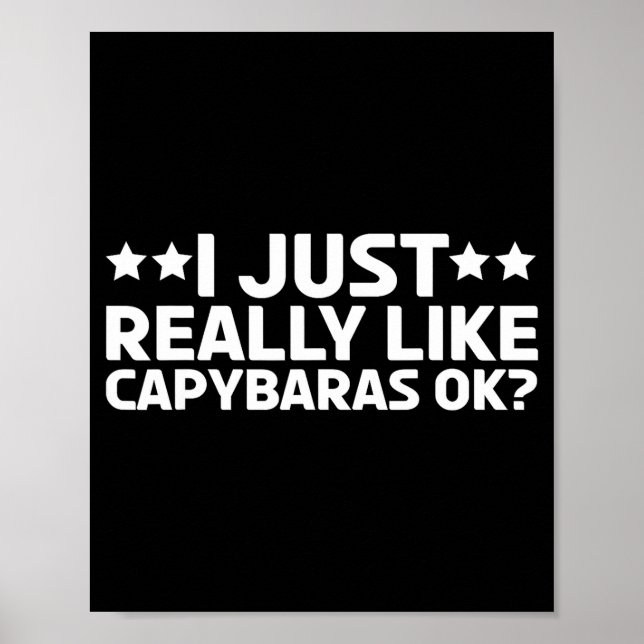Affiche Je Vais Simplemente Adorer Les Capybaras Ok Capy R (Devant)