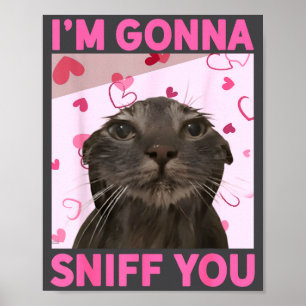Affiche Je vais vous renifler Drôle Brainrot Chats Mème Po