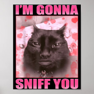 Affiche Je vais vous renifler Mèmes de chats drôles Femmes