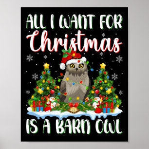 Affiche Je Veux Pour Noël Est Une Petite Chouette Oiseau O