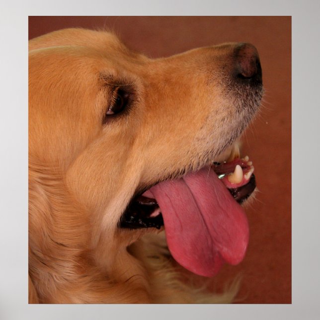 Affiche Je Veux Toujours Plus... (Devant)