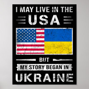 Affiche Je vis peut-être aux États-Unis, mais mon histoire