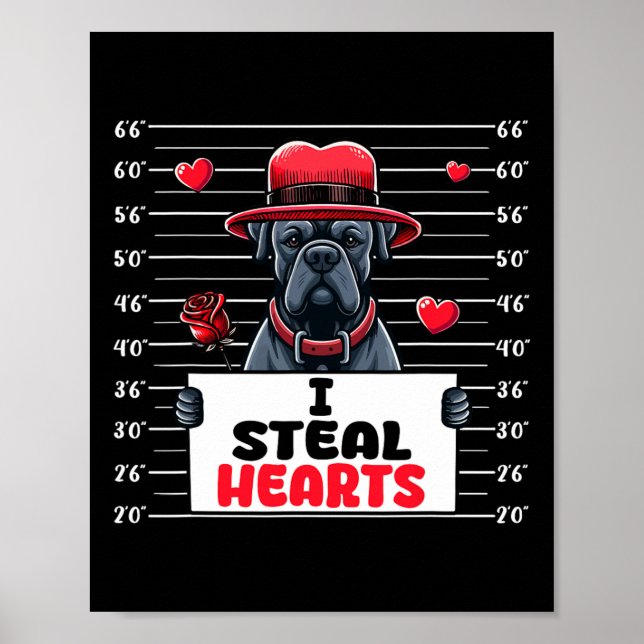 Affiche Je vole des coeurs mignons Saint Valentin Canne Co (Devant)