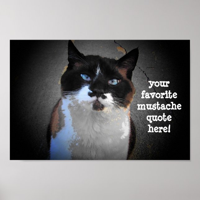 Affiche Je vous moustache de remplir le blanc (Devant)