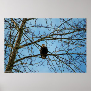 Affiche Je vous regarde