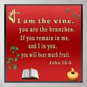 Affiche Jean 15:5