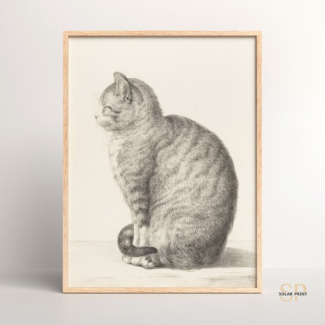 Affiche Jean Bernard Assis Chat Animal Art Artiste (Créateur téléchargé)