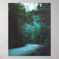 Jedediah Smith Redwoods State Park, CA