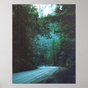 Affiche Jedediah Smith Redwoods State Park, CA