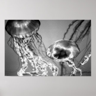 Affiche Jellies électriques