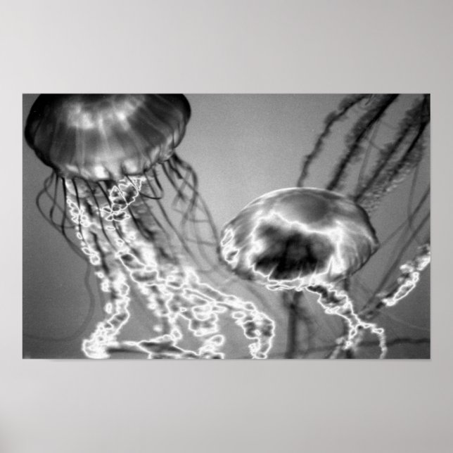 Affiche Jellies électriques (Devant)