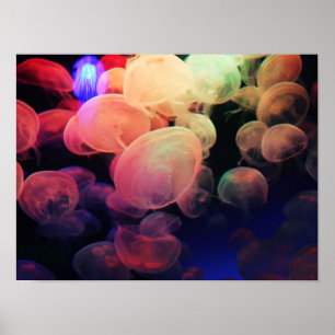 Affiche Jelly Love