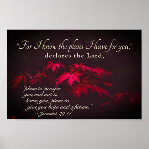 Affiche Jérémie 29:11 Car je connais les plans que j'ai po
