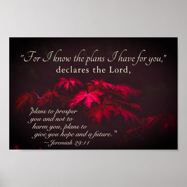 Affiche Jérémie 29:11 Car je connais les plans que j'ai po (Devant)