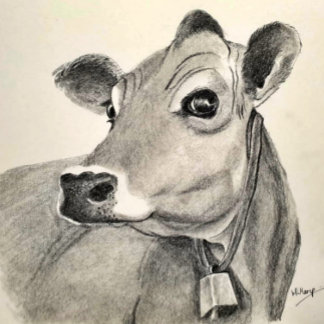 Affiche Jersey Cow sketch