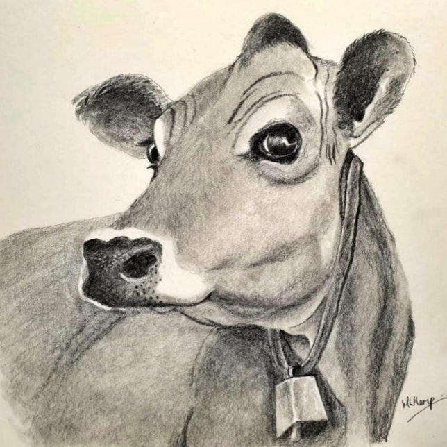 Affiche Jersey Cow sketch (Créateur téléchargé)