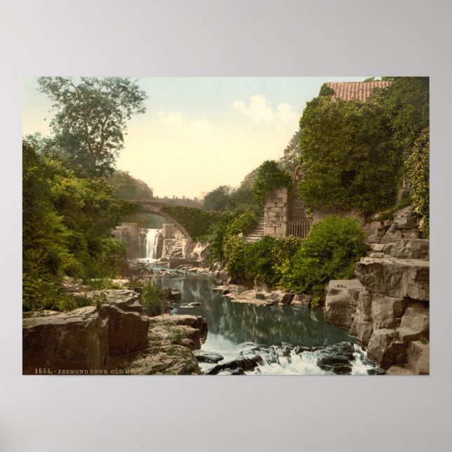 Affiche Jesmond Dene II, Newcastle-upon-Tyne, England (Devant)