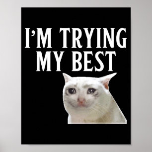 Affiche J'essaie de mon mieux Mème de chat drôle qui pleur