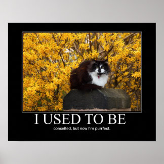 Affiche J'Étais.. Artisanat de chat amusant