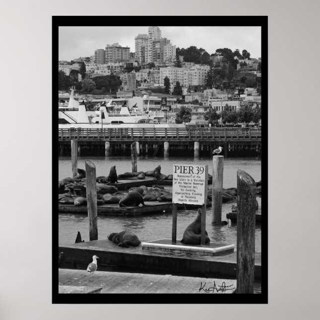 Affiche Jetée 39 (Devant)