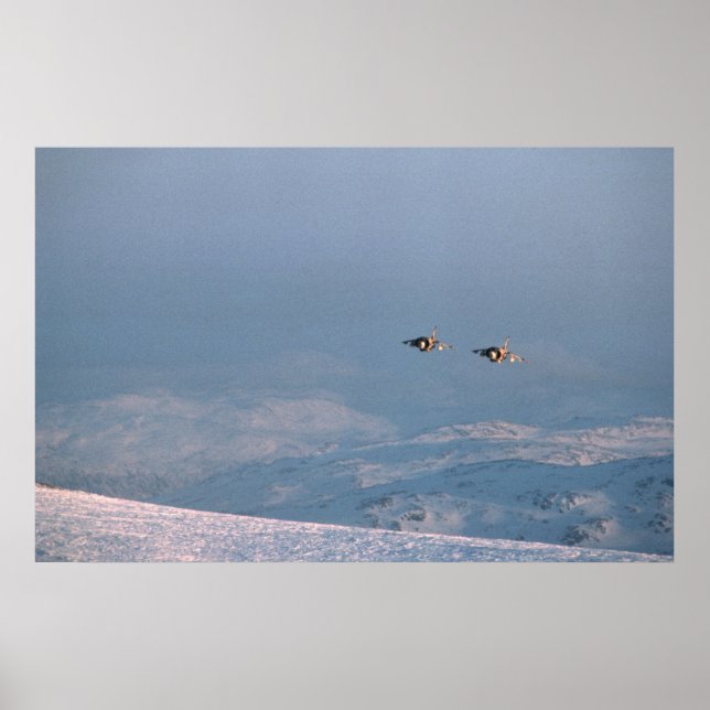 Affiche Jets de saut Harrier (Devant)