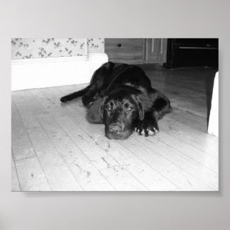 Affiche Jett sur bois dur