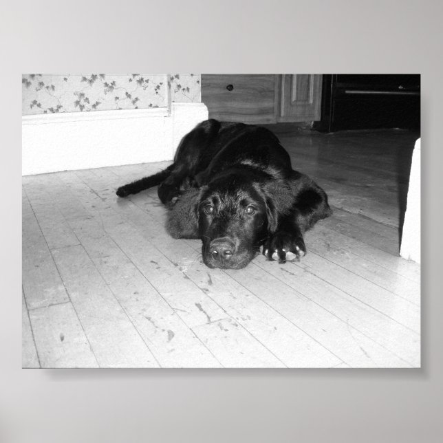 Affiche Jett sur bois dur (Devant)