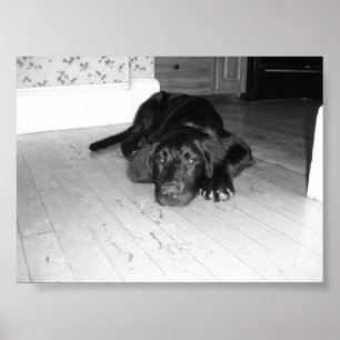 Affiche Jett sur le bois dur