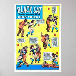 Affiche Jeu de chat noir