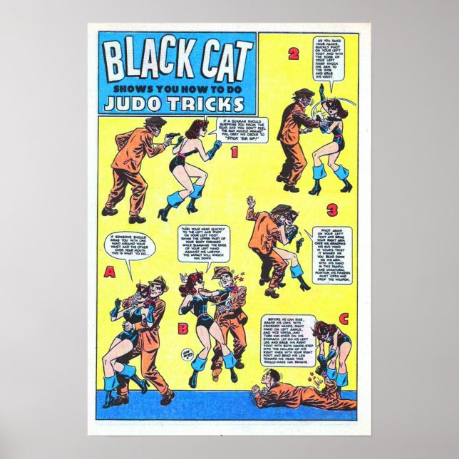Affiche Jeu de chat noir (Devant)