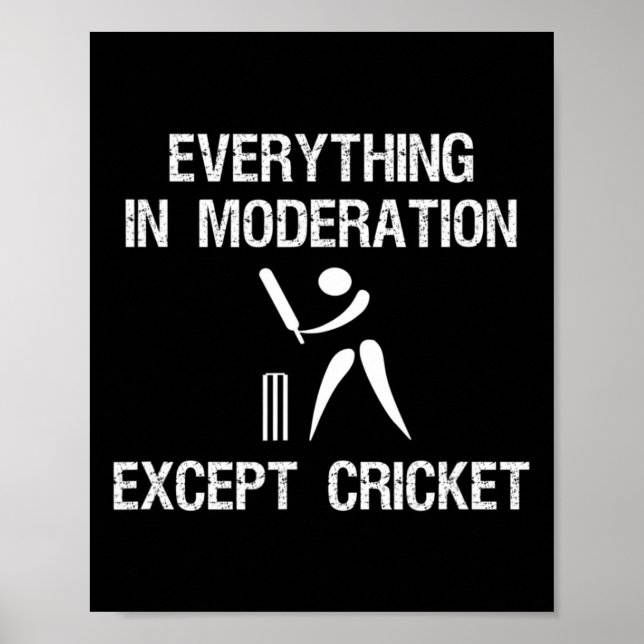 Affiche Jeu de cricket - Modération drôle - Joueur  (Devant)