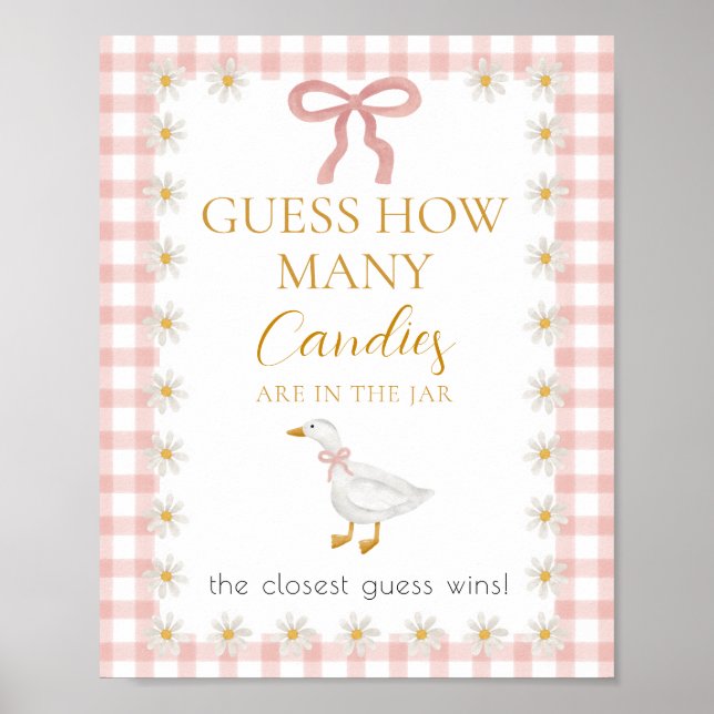 Affiche Jeu de devinette pour la baby shower Silly Goose R (Devant)