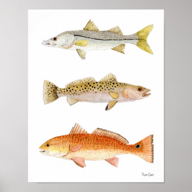 Affiche Jeu de mer Poisson - Snook, Seatrout & Redfish (Devant)