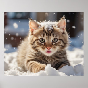 Affiche *~* Jeu de neige Kitty 5:4 Kitten Cat AP68