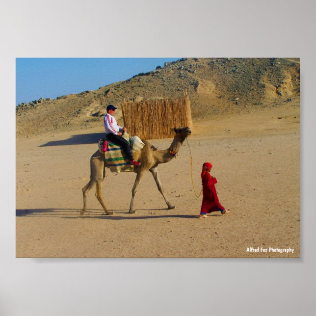 Affiche Jeune Fille Avec Chameau (Devant)
