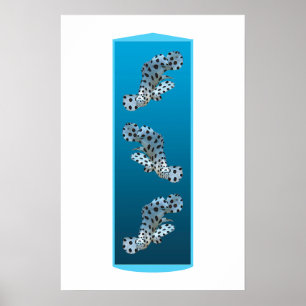 Affiche Jeune Mérou - Conception de fond dégradé bleu   
