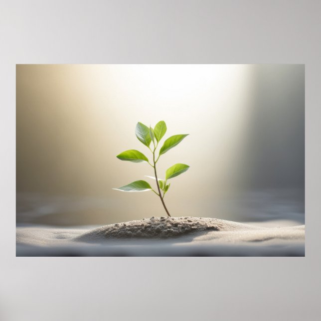 Affiche Jeune Plante clair calme (Devant)