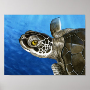 Affiche Jeune tortue verte