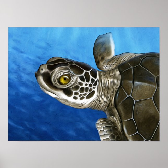 Affiche Jeune tortue verte (Devant)