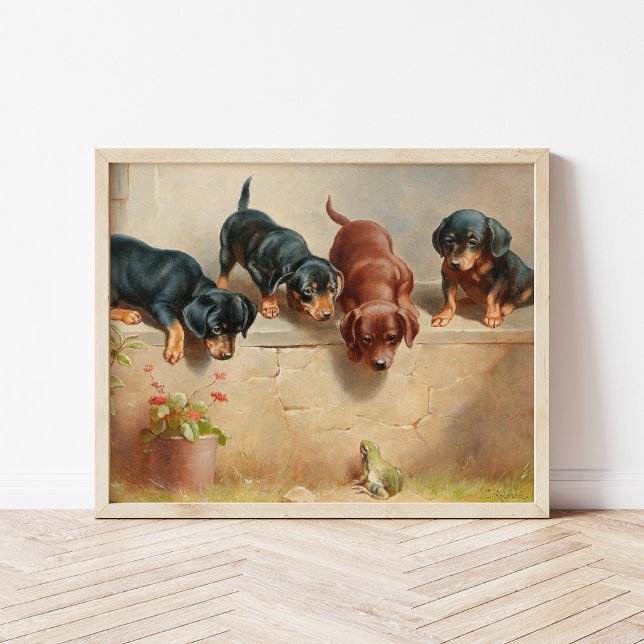 Affiche Jeunes Chiens Dachshund Curieux | Carl Reichert (Créateur téléchargé)